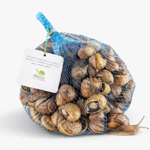 lumache helix aspersa müller 1kg